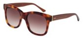 Christofer Kane CK0003S 002 BROWN GRADIENT sunglasses