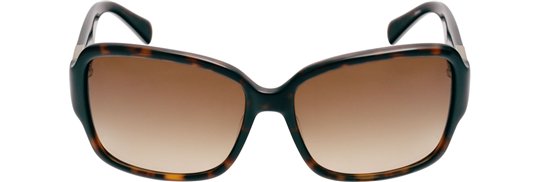 Coach sunglasses sales s2025