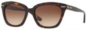 DKNY DY4142 370213 DARK TORTOISE sunglasses