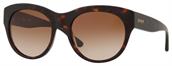 DKNY DY4157 376413 DARK TORTOISE sunglasses