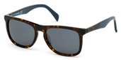 Diesel DL0162 55V	coloured havana / blue sunglasses