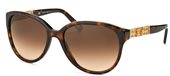 Escada SES352 0722 Havana Gold sunglasses