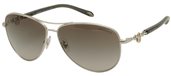 Tiffany TF3034 60013C Silver Black sunglasses